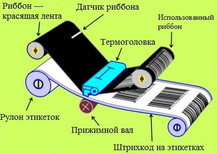 Структура риббона